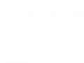 Hand Shaking Icon