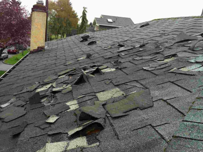 Hail Damage Service