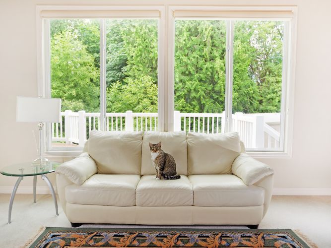 Professional Window Installation