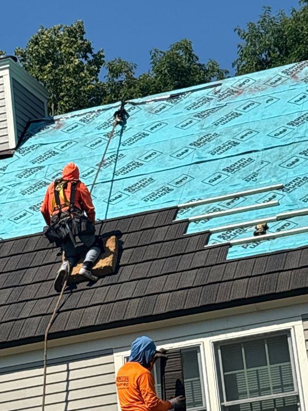 Steel Coated Steel Results (8)